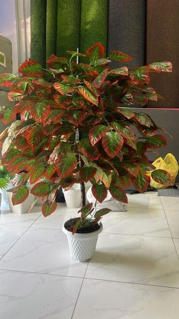 süni ağac: Daxili və xarici məkanlar üçün nəzərdə tutulmuş süni dekorativ ağac — 1