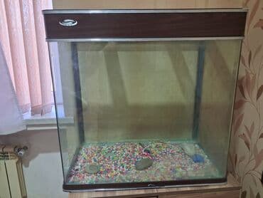 İtlər: Dördbucaq akvarium, Boş, 180 l, Ünvandan götürmə — 5