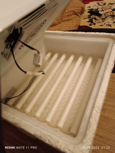 inkubator rus: 16liq - 110 manat 36 liq - 160 manat Üç dəfə istifadə olunub və — 4