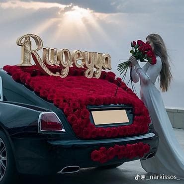 baxca işi: Kargüzarlıq işi axtariram — 1