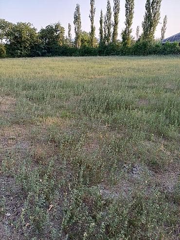 1 sot nece kvadrat metrdir: 80 sot, Biznes üçün, Mülkiyyətçi, Kupça (Çıxarış) — 1