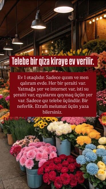 mehemmedli kiraye: Münasib qiymete 🫶🏻🌺 — 1