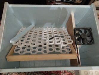 ot çəkən aparat: Salam inkibator satilir 120 yumurtalik çevirmə el iledi rucunoy — 5