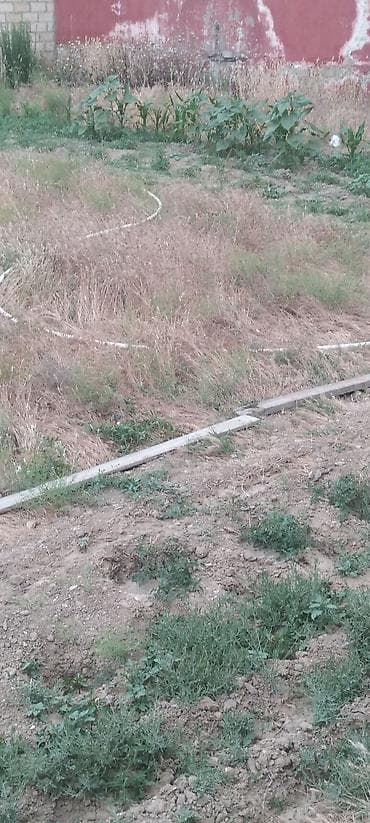 6 sot, Tikinti, Mülkiyyətçi, Kupça (Çıxarış)