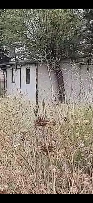 Metal fermalar: Ferma və təsərrüfat kompleksi - Heyvandarlıq üçün tikililər: uzun — 10