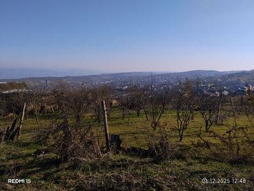 vasitəçisiz iki otaqlı mənzil kirayələmək: Kənd təsərrüfatı — 8