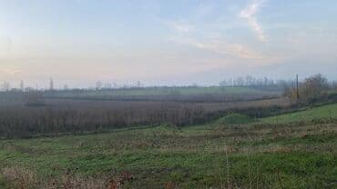 sumqayıt heyet evi: Ünvan: Qusar şəhəri Ləyər kəndi (ləzgi ləyər) 1hk 68 sot bağ yeri — 29