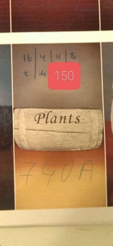 наращивание ресниц на дом: Qadın saç ustaları | Ukladka — 2