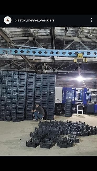 meyvə polkasi: Məhsul: Təzə bağ məhsulları – müxtəlif növ almalar və mövsümi — 6