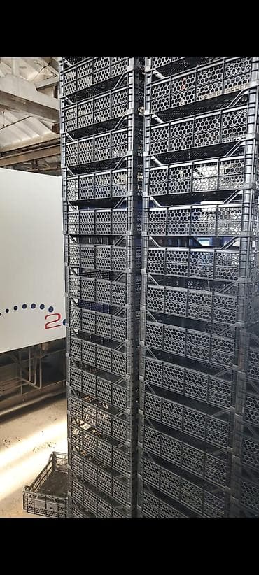 panel aboylar: Məhsul: Plastmas meyvə-tərəvəz yeşikləri - Material: möhkəm, yüngül — 5