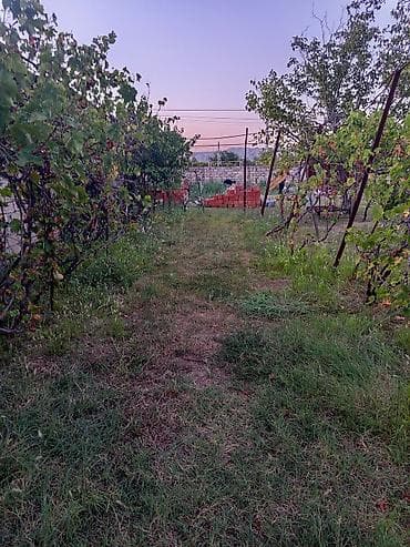 Mingəçevir, 9 kv. m, 1 otaqlı, Hovuzsuz, Su — 7