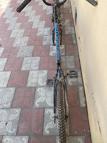 turist velosiped: Veziyyetleri gorunduyu kimidir. Velosipedler Berdededir. Tek tekde — 5