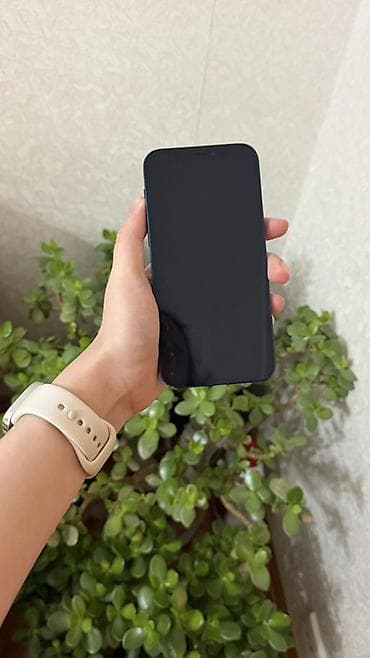 Lixiang: IPhone 12, Mavi, Simsiz şarj — 1