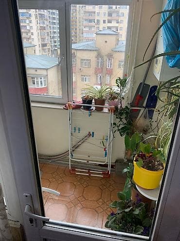 9cu mikrorayon kiraye evler: 3 otaqlı, Yeni tikili, 100 kv. m — 5