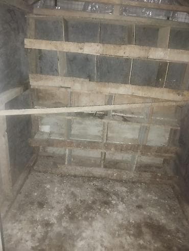 Qus dami satilir tecili. 300 manat asaqi yeri var rial alici yazsin