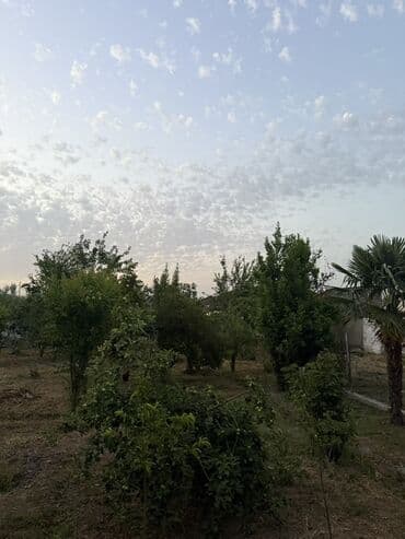qubada torpaq satilir 2022: 9 sot, Mülkiyyətçi, Kupça (Çıxarış) — 2