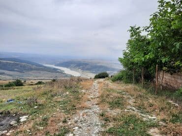 mingecevir torpaq satilir: 12 sot, Kənd təsərrüfatı, Makler, Kupça (Çıxarış), Texniki pasport — 7