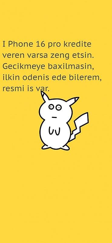 IPhone 16 Pro, Kredit