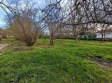 astara torpaq: 16 sot, Tikinti, Mülkiyyətçi, Kupça (Çıxarış) — 2