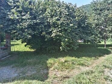 sumqayit kirayə evlər: 90 м², 3 комнаты, Электричество, Водопровод, Интернет — 1
