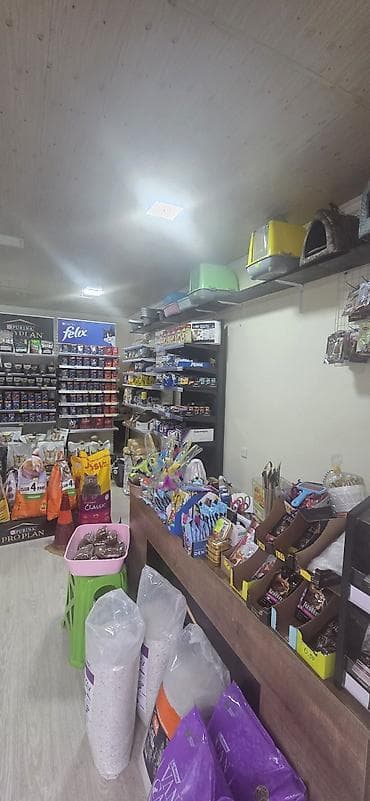 Птицы: Nizami rayonu 214 saylı məktəblə üzbəüz 30 kv.m çağaza arendaya — 9