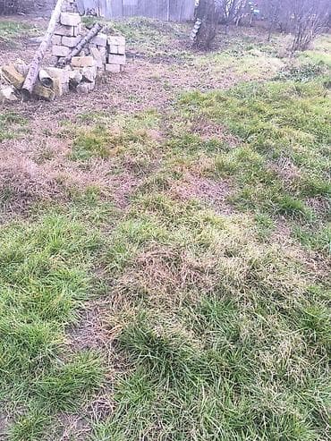 heyet evleri: 10 sot, Tikinti, Mülkiyyətçi — 3