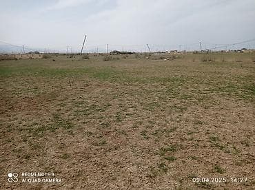 12 sot, Tikinti, Mülkiyyətçi, Kupça (Çıxarış)