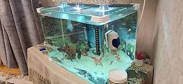 akvarium isiqlari: Akvaryum komplekti - Şüşə akvaryum: düzbucaqlı forma, qalın şüşə — 5