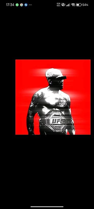 herbi profil sekilleri: Məhsul: UFC mövzusunda rəqəmsal posterlər (set) Təsvir: - Qrafik — 1