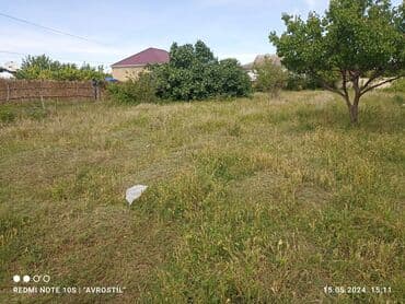 mingəçevir kirə evlər: 15 sot, Kupça (Çıxarış) — 9