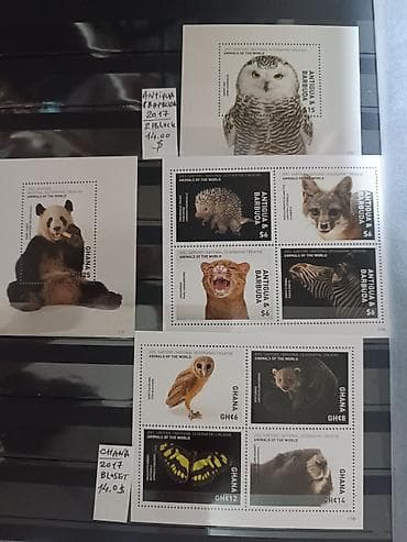 Elektrik nəqliyyatı: Müxtəlif markalar hər ölkələrdən — 1