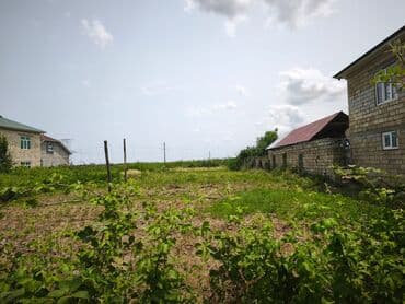 obyekt ucun torpaq: 9 sot, Tikinti, Mülkiyyətçi, Kupça (Çıxarış) — 1