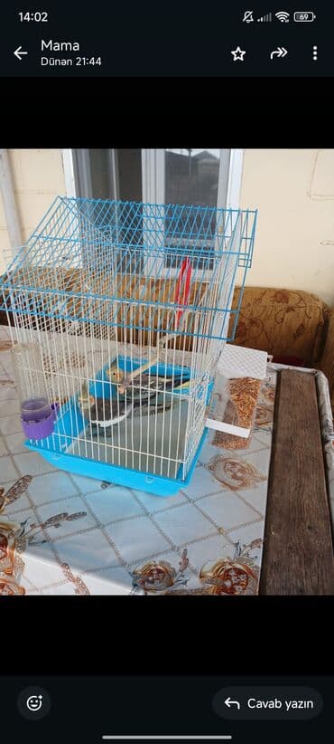 heyvanlara verilen adlar: 2 cütü 70 azn ünvan salayan rayonu yeni ulxanlı kəndi yuva qarşıq — 3