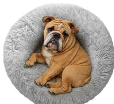 лежанка для кошек: Домик — 2