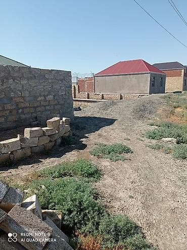 Tikinti