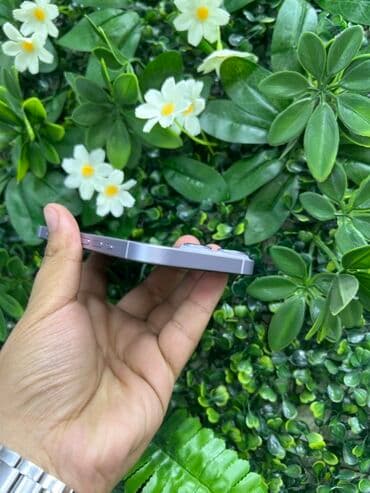 iphone planset: IPhone 14, Face ID — 4