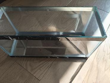 Akvarium tezedir hec bir problemi yoxdur qiriq falan hecne yoxdur — 1