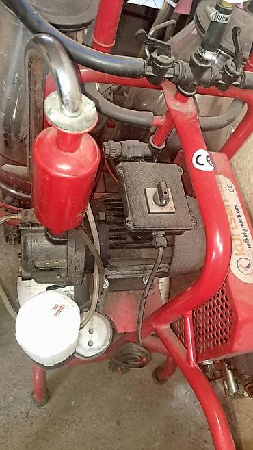 İnkubatorlar: Cüt bidon, Türkiyə, Paslanmaz bidon — 4