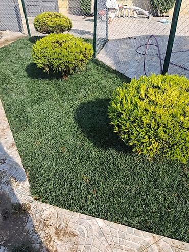 heyet qapisi: Canlı rulon qazon və landşaft abadlaşdırma xidməti - Rulon qazon — 2