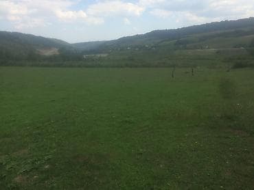 dasinmaz emlak mingəçevir: 20 sot, Biznes üçün, Mülkiyyətçi, Kupça (Çıxarış) — 8