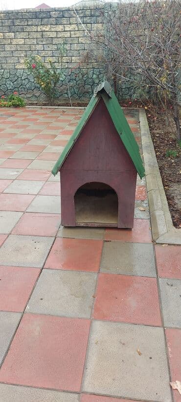 собака бу цена: It yuvası — 3