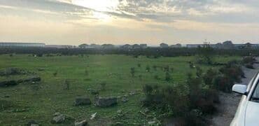 xocesende torpaq: 83 sot — 2