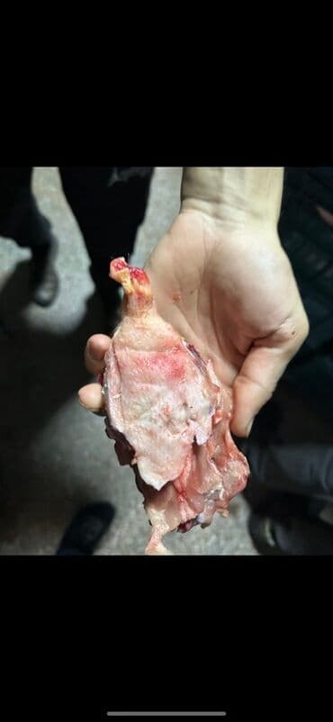 Salam ✅Heyvanlar üçün nəzərdə tutulub satılır, ❌İnsan qi̇dasi dei̇l!!