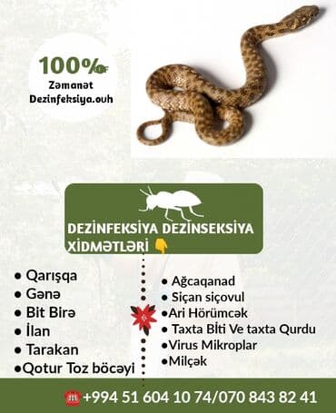 en yaxsi xalca yuma hansi: Dezinfeksiya, dezinseksiya | Taxtabiti, Birələr, Tarakanlar | Nəqliyyat, Ofislər, Mənzillər — 3