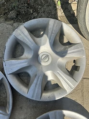 13 disk: Kolpak Nissan R 15 — 3
