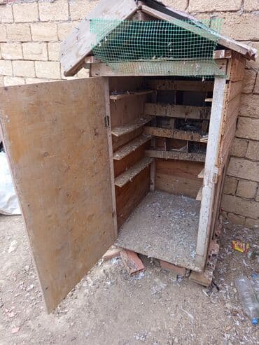 göyərçin yuvaları: Salam.gördüyünüz quş damı satılır qiyməti 50 manat və satdıq 8 dənədə — 5