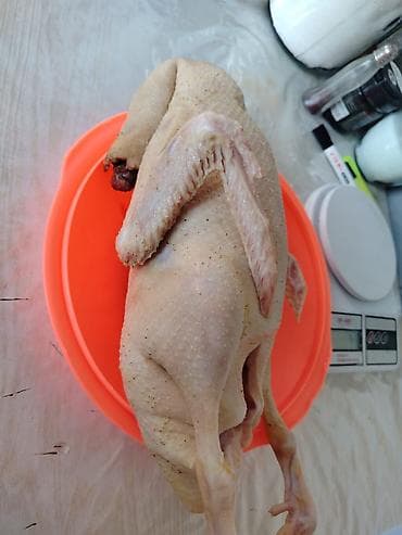 Ləpələr: Tam təmizlənmiş ördək – bütöv kilosu 10 manata . 1 ördəyin ortalama — 1