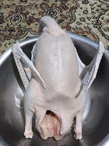 İçkilər: Məhsul: Soyulmuş və təmizlənmiş qaz cəmdəyi Təsvir: - Tam cəmdək — 1