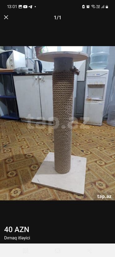 собака в добрые руки баку: Erkək, Yaxşı əllərə, Ünvandan götürmə — 1