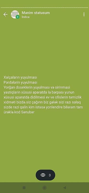 komputer temizlenmesi: Xalçaların yuyulması — 1